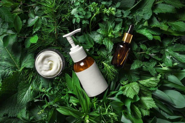 Organic Beauty Brands in India